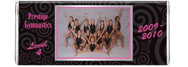 Newabbygymnasticsteam front silver